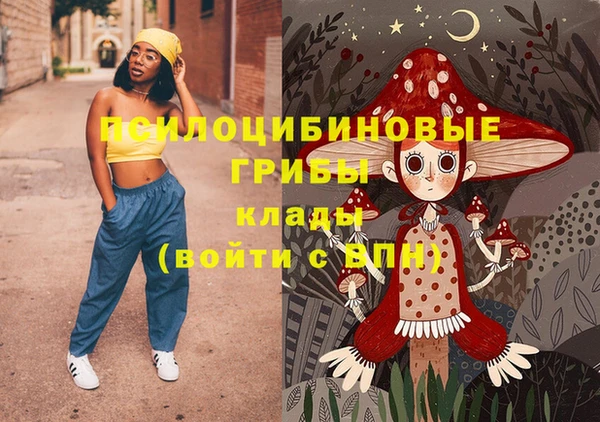 соль курить ск Бородино