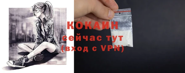 соль курить ск Бородино