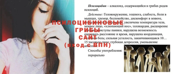 соль курить ск Бородино
